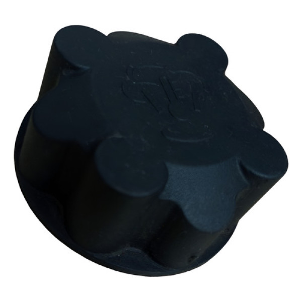 Tampa Reservatório Água Renault Clio 1.0 1999 A 2011