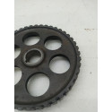 Polia Volkswagen Zba109111b