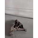 Suporte Do Coxim Daewoo Espero 2.0 1995
