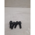 Kit Parafuso Roda Bmw 320i 2015