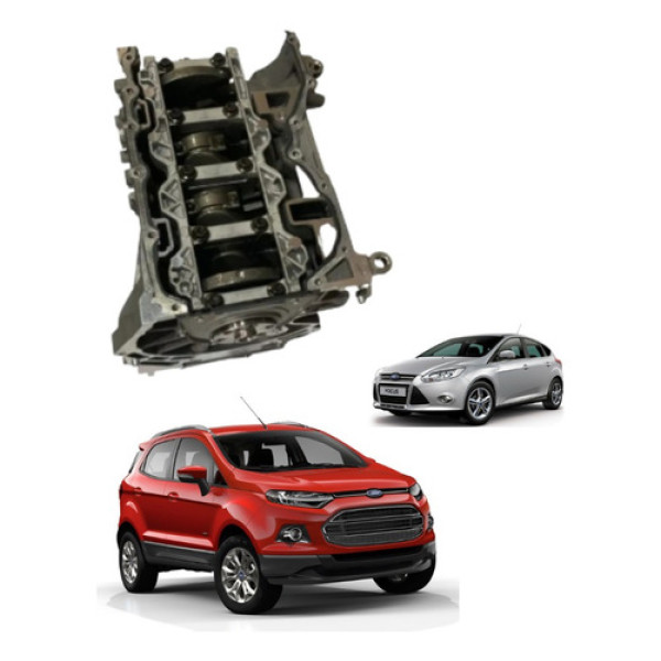 Motor Focus Ecosport Flex 2.0  2014 2015 2016 2017 