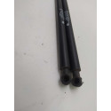 Par De Amortecedor  Tampa Traseira  Peugeot 206