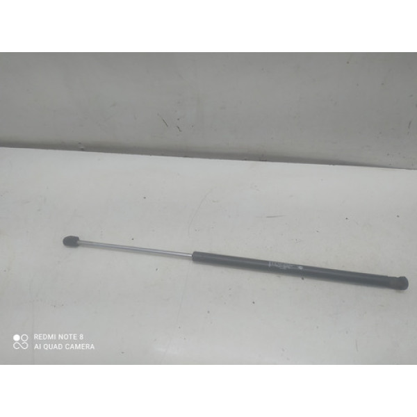 Amortecedor Tampa Traseira Peugeot 206 2008 