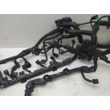 Chicote Injeção Motor Honda Crv 2.0 2007 2011 32110rzpz550