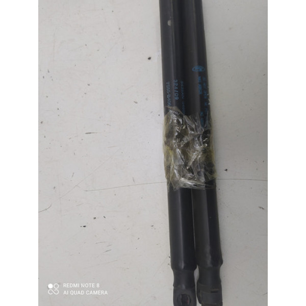 Par Amortecedor Tampa Porta Malas Ford Ka 2008