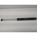 Par De Amortecedor  Tampa Traseira  Peugeot 206
