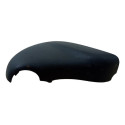 Acabamento Retrovisor Citroen 2003 2004 9654837977