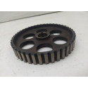 Polia Volkswagen Zba109111b