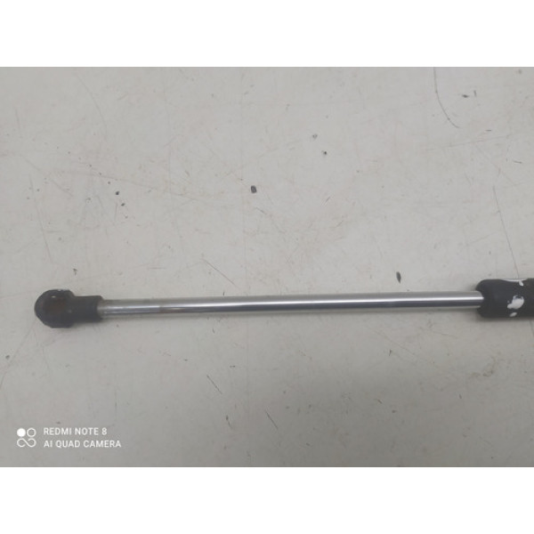 Amortecedor Tampa Traseira Renault Clio 2002-2012