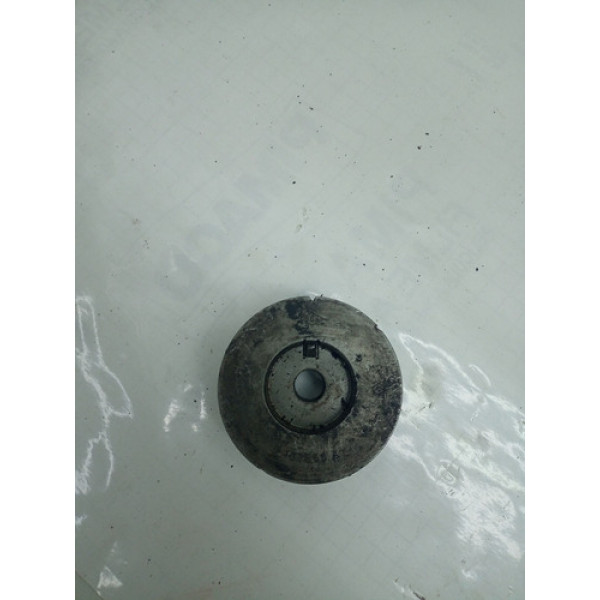 Polia Virabrequim Renault Clio 1.0 16v 102550a