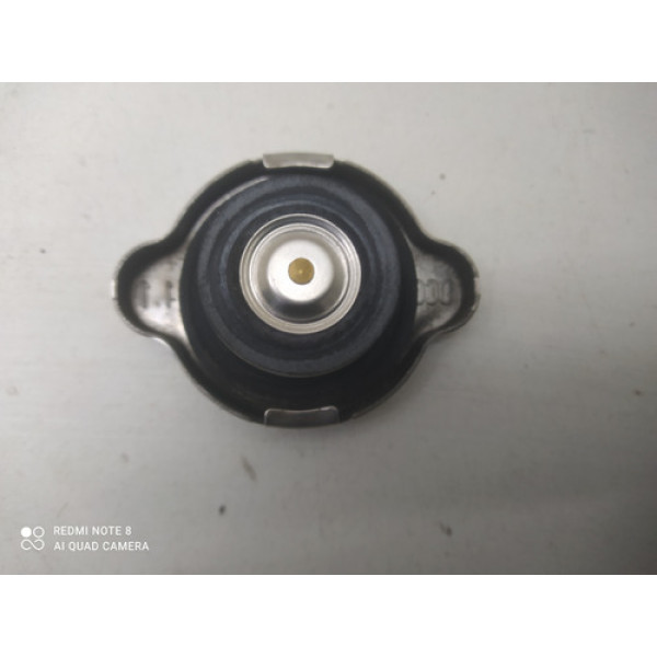 Tampa Radiador Hyundai Hb20 2019
