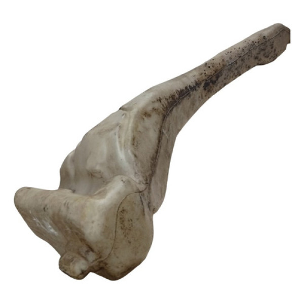 Reservatório Água Limpador Renault Megane 1999 2006