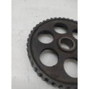 Polia Volkswagen Zba109111b