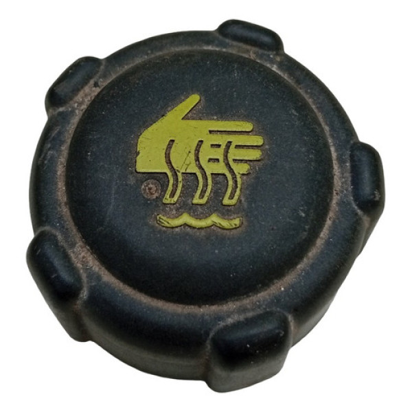 Tampa Reservatório Água Renault Sandero 2015