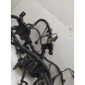 Chicote Injeção Hyundai Hb20 1.6 2016