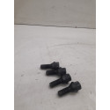 Kit Parafuso Roda Bmw 320i 2015