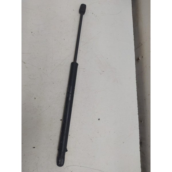 Amortecedor Tampa Traseira Honda Fit 2004 A 2008