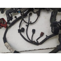 Chicote Injeção Motor Honda Crv 2.0 2007 2011 32110rzpz550