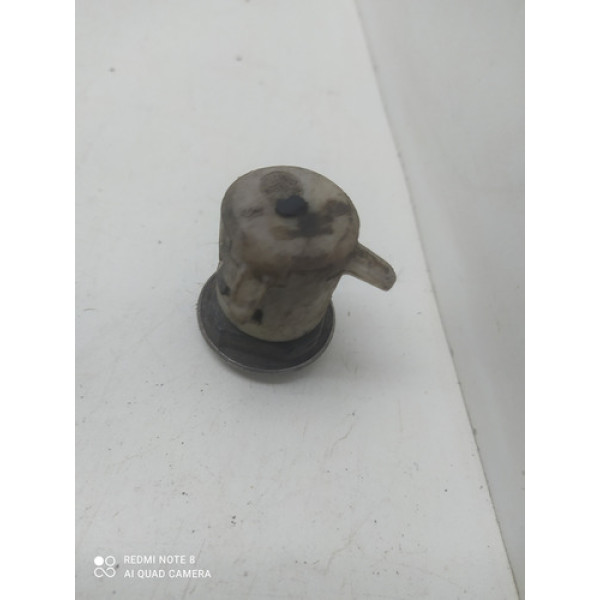 Miolo Cilindro Fiat Palio 2004