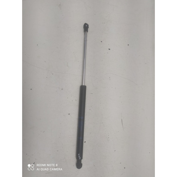 Amortecedor Tampa Traseira Renault Clio 2004-2005