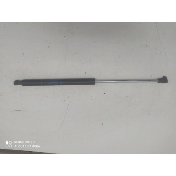 Amortecedor Tampa Traseira Renault Clio 2002-2012